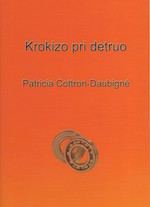 Krokizo pri detruo